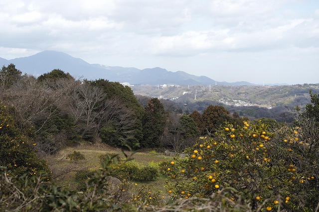 こんな風景を見ながらのランチ