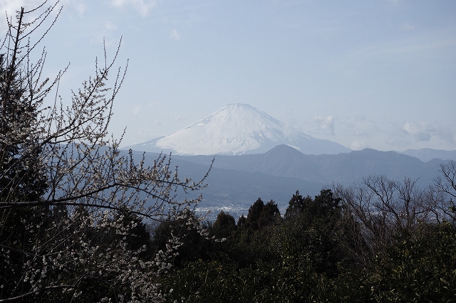 目の前にいきなり富士山が現れたところ