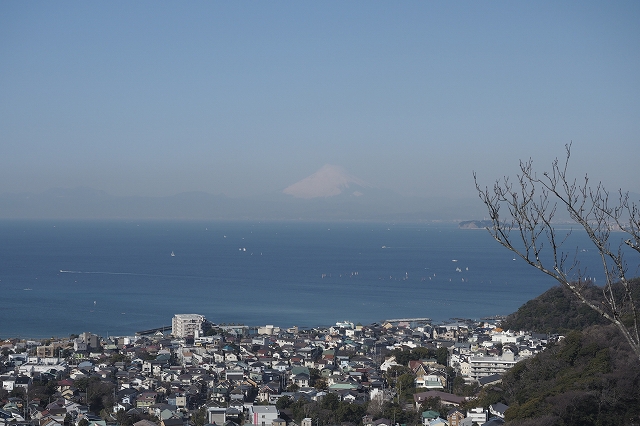 仙元山からの富士山