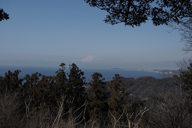 ソッカ山からの富士山 この景色を見ながらランチしました。