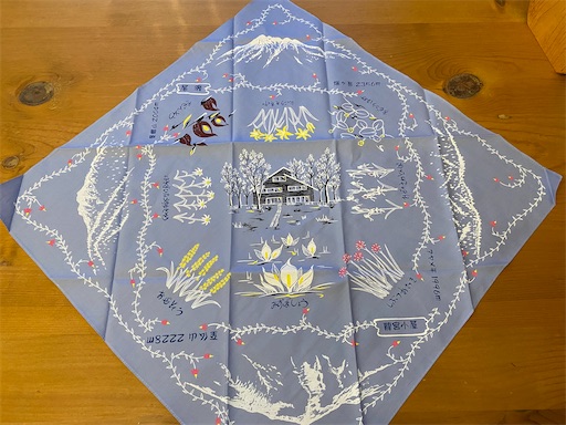 龍宮小屋で買ったバンダナ 色が沢山あって迷いました