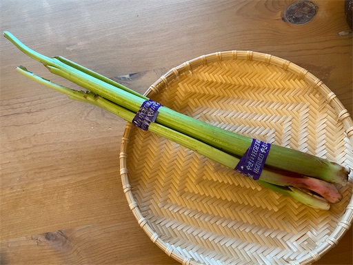 f:id:hiroko_ny:20230716232606j:image f:id:hiroko_ny:20230716232606j:image