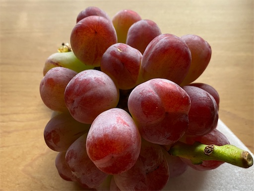 お土産のバイオレットキング