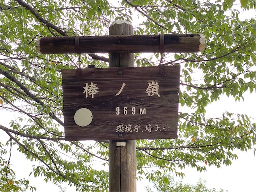 f:id:hiroko_ny:20230921234624j:image f:id:hiroko_ny:20230921234624j:image