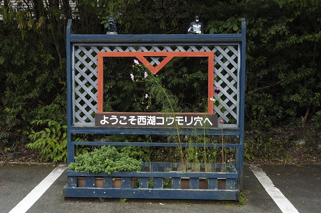 コウモリ穴
