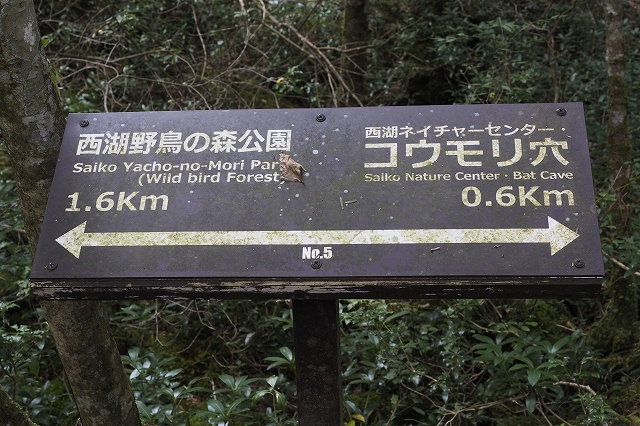標識の真ん中下が番号です。