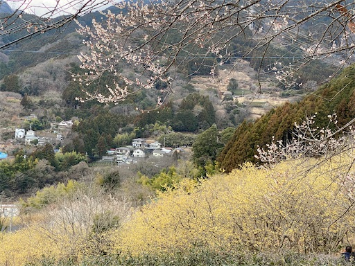 f:id:hiroko_ny:20240310193959j:image f:id:hiroko_ny:20240310193959j:image