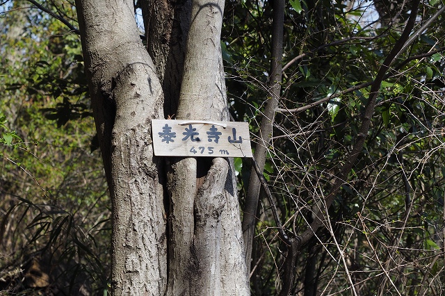 泰光寺山