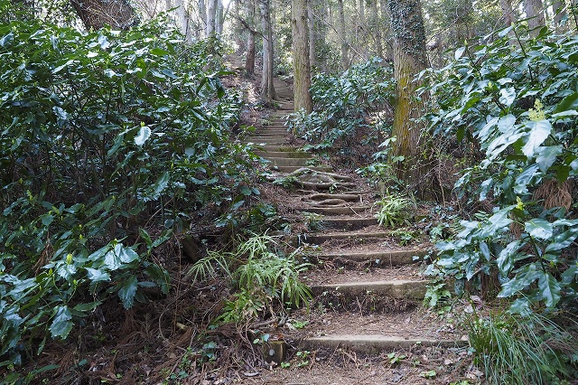 泰光寺山を下りる急な道