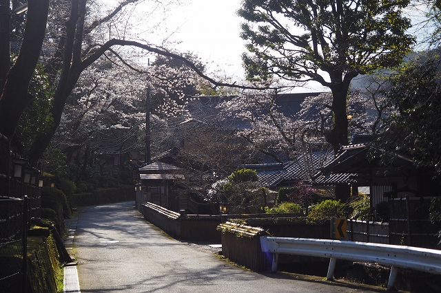 「うかい」の情緒ある風景