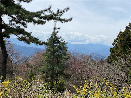 城山から富士山は見えませんでした。