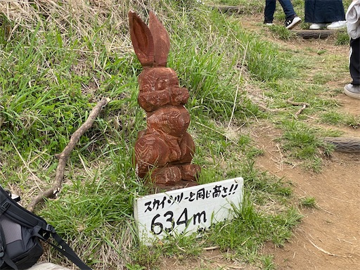 途中にある木彫りのウサギ