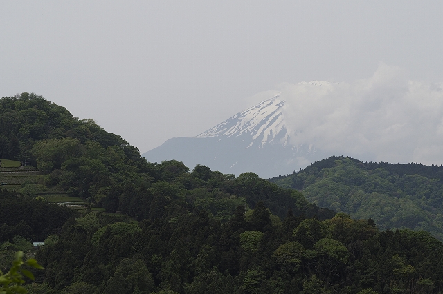 何回も富士山が見えました。