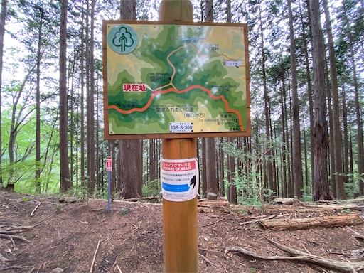 こんな所にもクマに注意が！