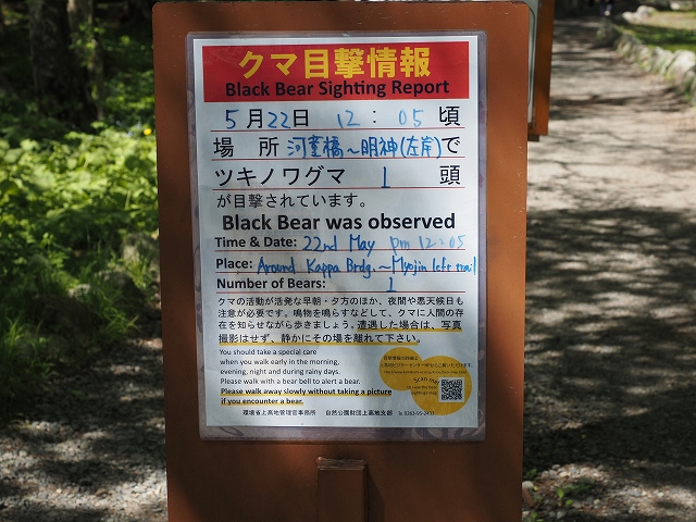 こんなクマ情報を何回も目にしました。