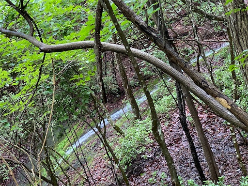 途中、岩を流れる滝を見ました。