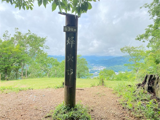 f:id:hiroko_ny:20240626205959j:image