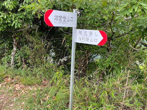 f:id:hiroko_ny:20240626210002j:image