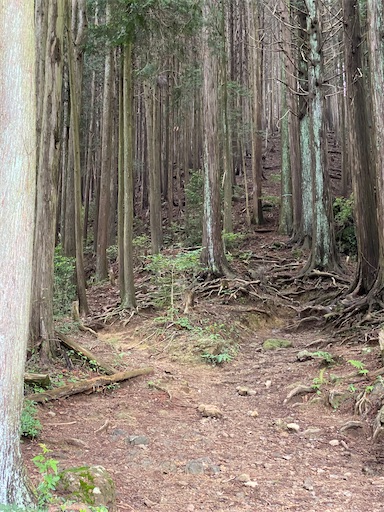 f:id:hiroko_ny:20240712203311j:image