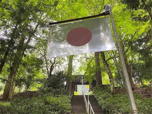 f:id:hiroko_ny:20240712203324j:image