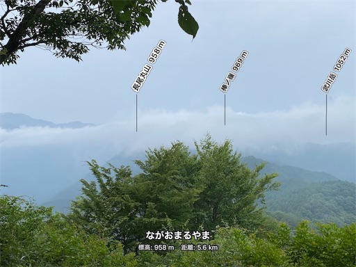 f:id:hiroko_ny:20240712203327j:image