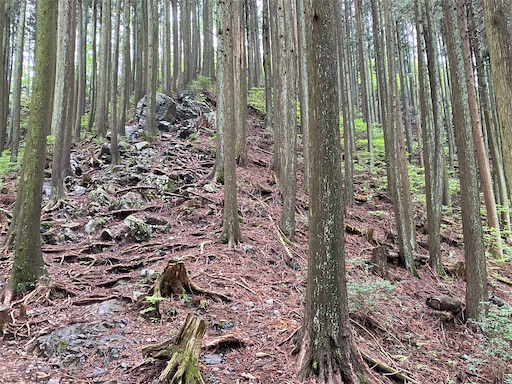 f:id:hiroko_ny:20240712203332j:image