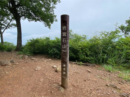 f:id:hiroko_ny:20240712203335j:image