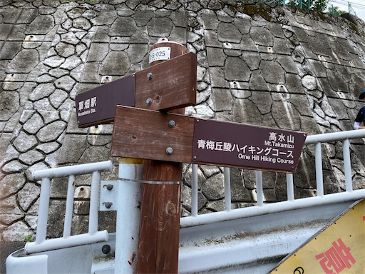 f:id:hiroko_ny:20240712203340j:image