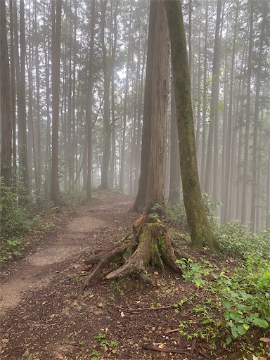 f:id:hiroko_ny:20240712203358j:image