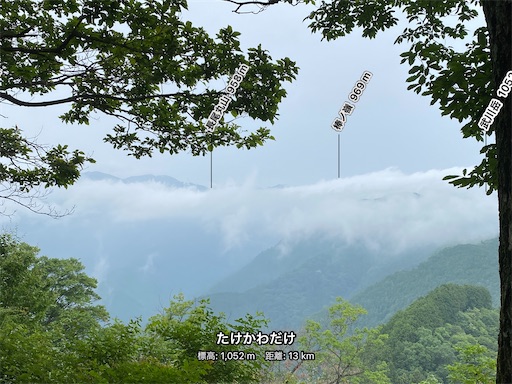 f:id:hiroko_ny:20240712203408j:image