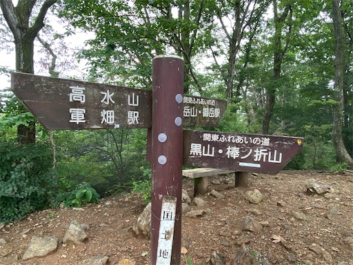 f:id:hiroko_ny:20240712203418j:image