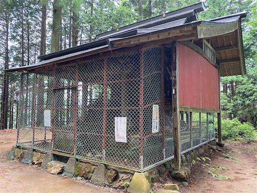 f:id:hiroko_ny:20240712203423j:image