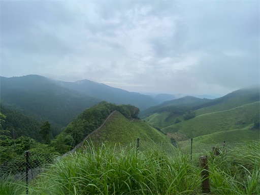 f:id:hiroko_ny:20240712203428j:image