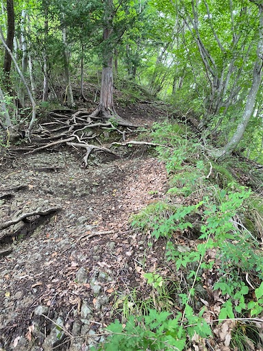 f:id:hiroko_ny:20240724203627j:image