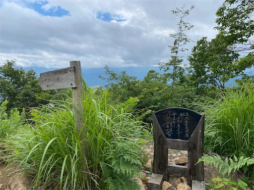 f:id:hiroko_ny:20240724203637j:image