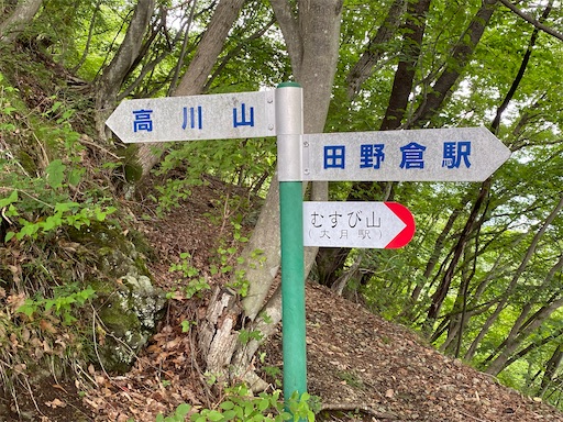 f:id:hiroko_ny:20240724203641j:image