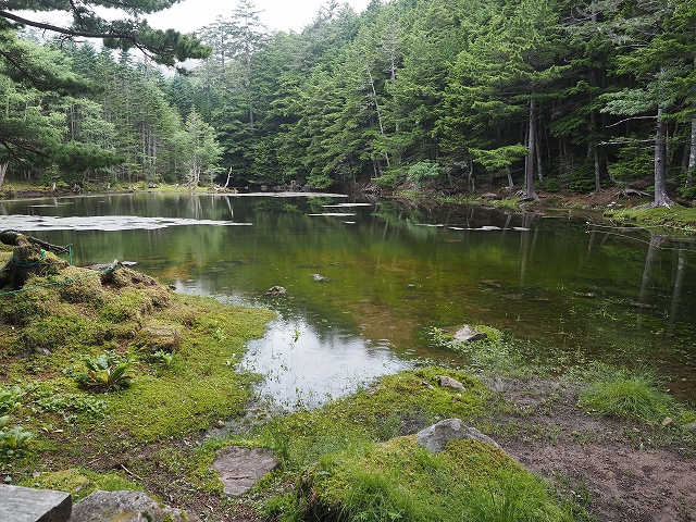 みどり池　何回も標識が出てきましたが、登山口から遠いです。