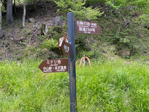 f:id:hiroko_ny:20240816171949j:image