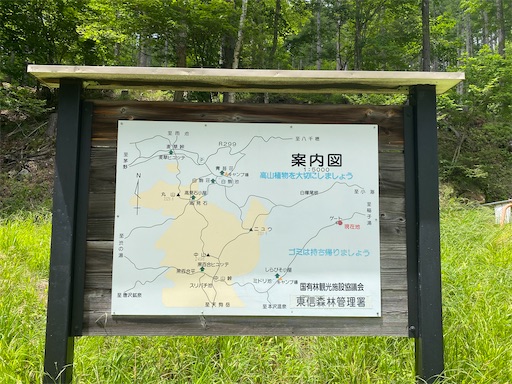 f:id:hiroko_ny:20240816172006j:image