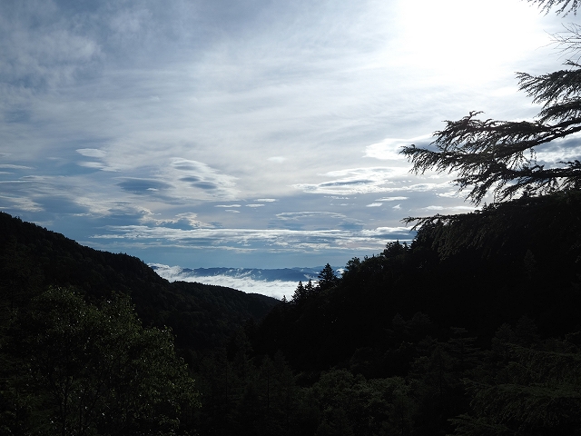 向こうに雲海が見えました。