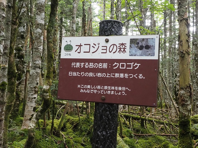 オコジョの森　こんな看板が沢山あります。立ち止まっている暇がありませんでした。