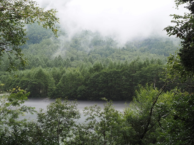 大正池のバス停近くの景色