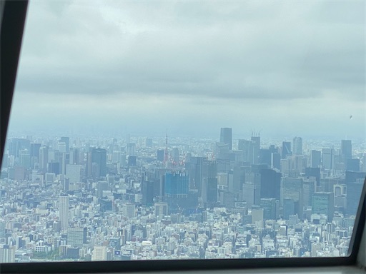 スカイツリーからの景色