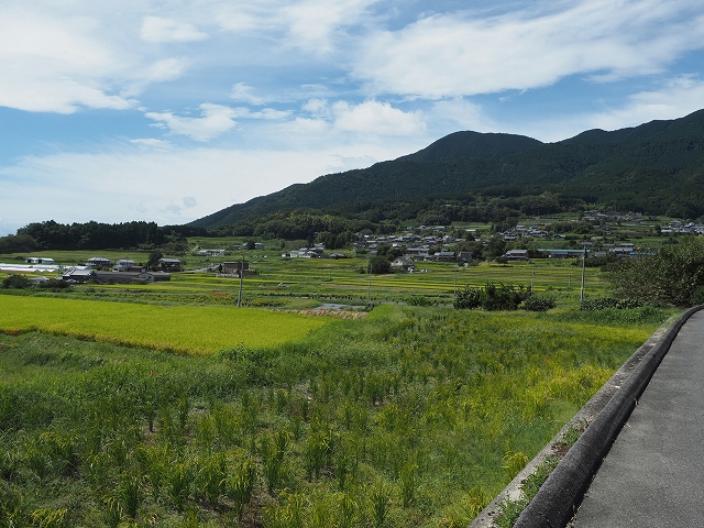 風の森　名前の通り、風の強い場所です。
