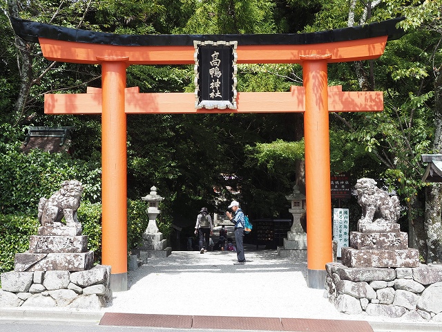 高鴨神社　全国の鴨社の本宮です。上鴨神社や下賀茂神社も含まれます。