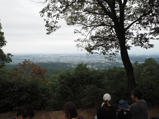 山頂からの景色