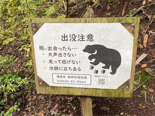 今やいろんな場所にクマは出没します。
