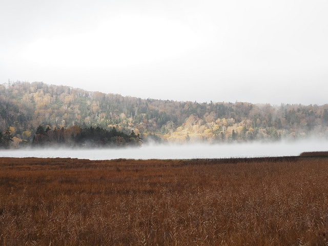 長い時間霧がかかっていました。