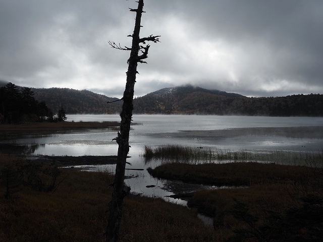 墨絵のような光景でした。