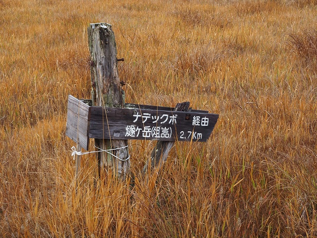 燧ヶ岳からの降り口になるはずでした。